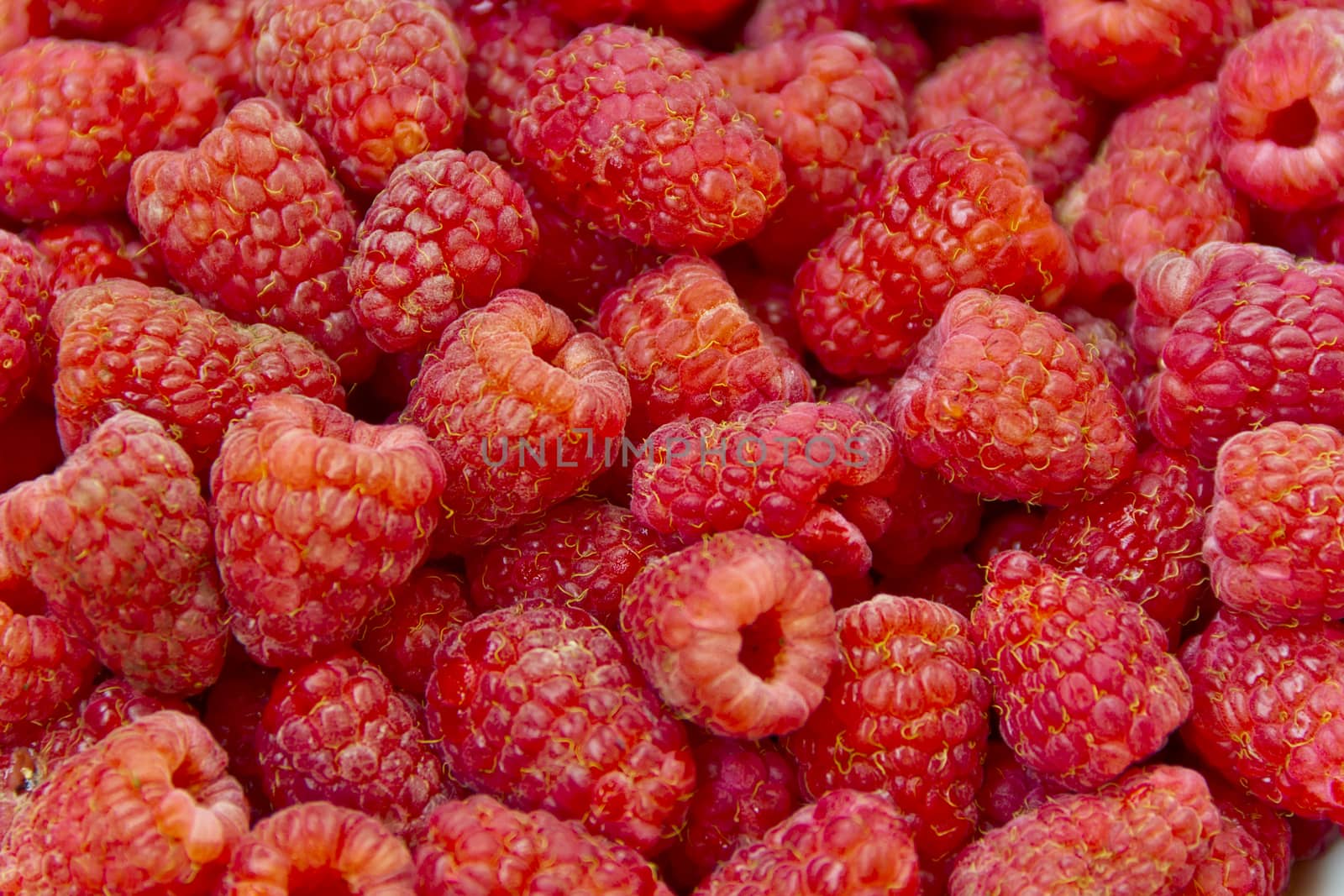 Photo of the background fresh red raspberry