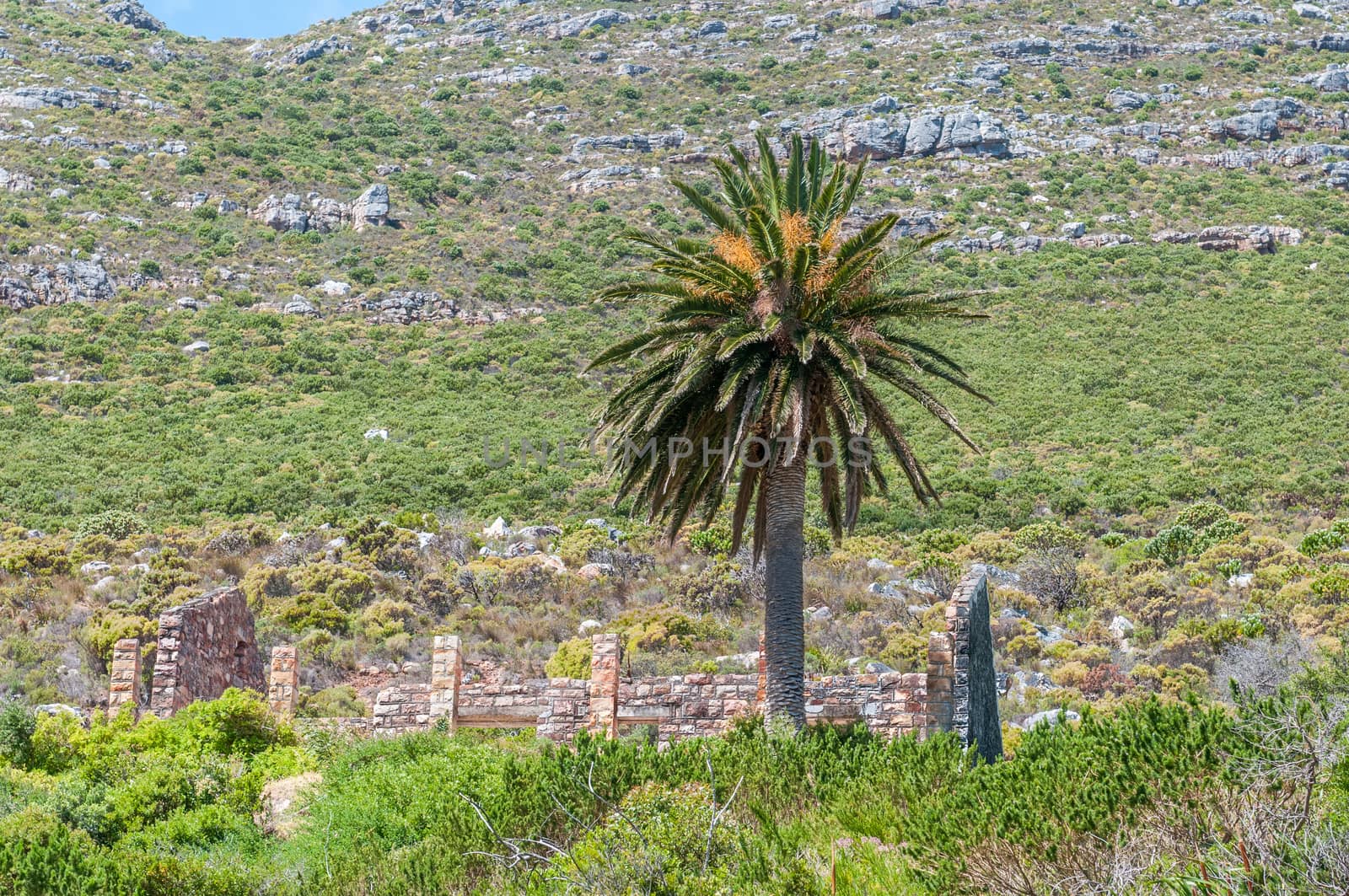 Old forestry station next to Chapmans Peak drive