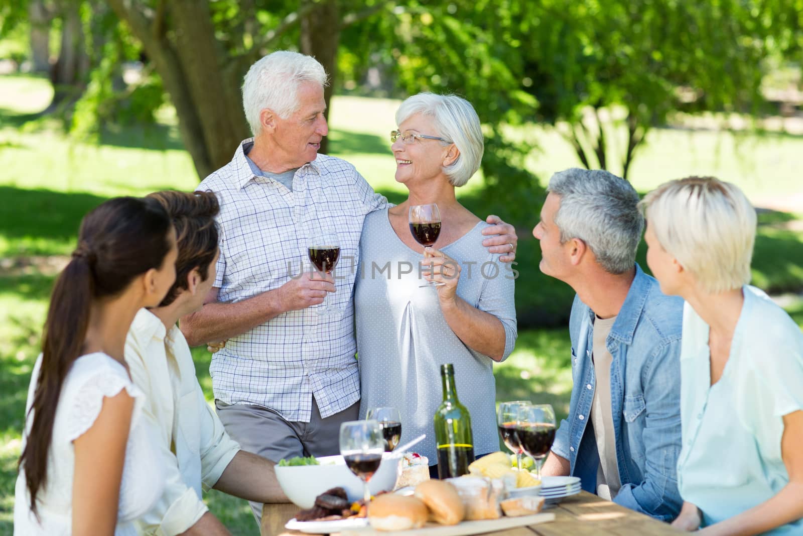 Happy senior toasting with their family on a sunny day