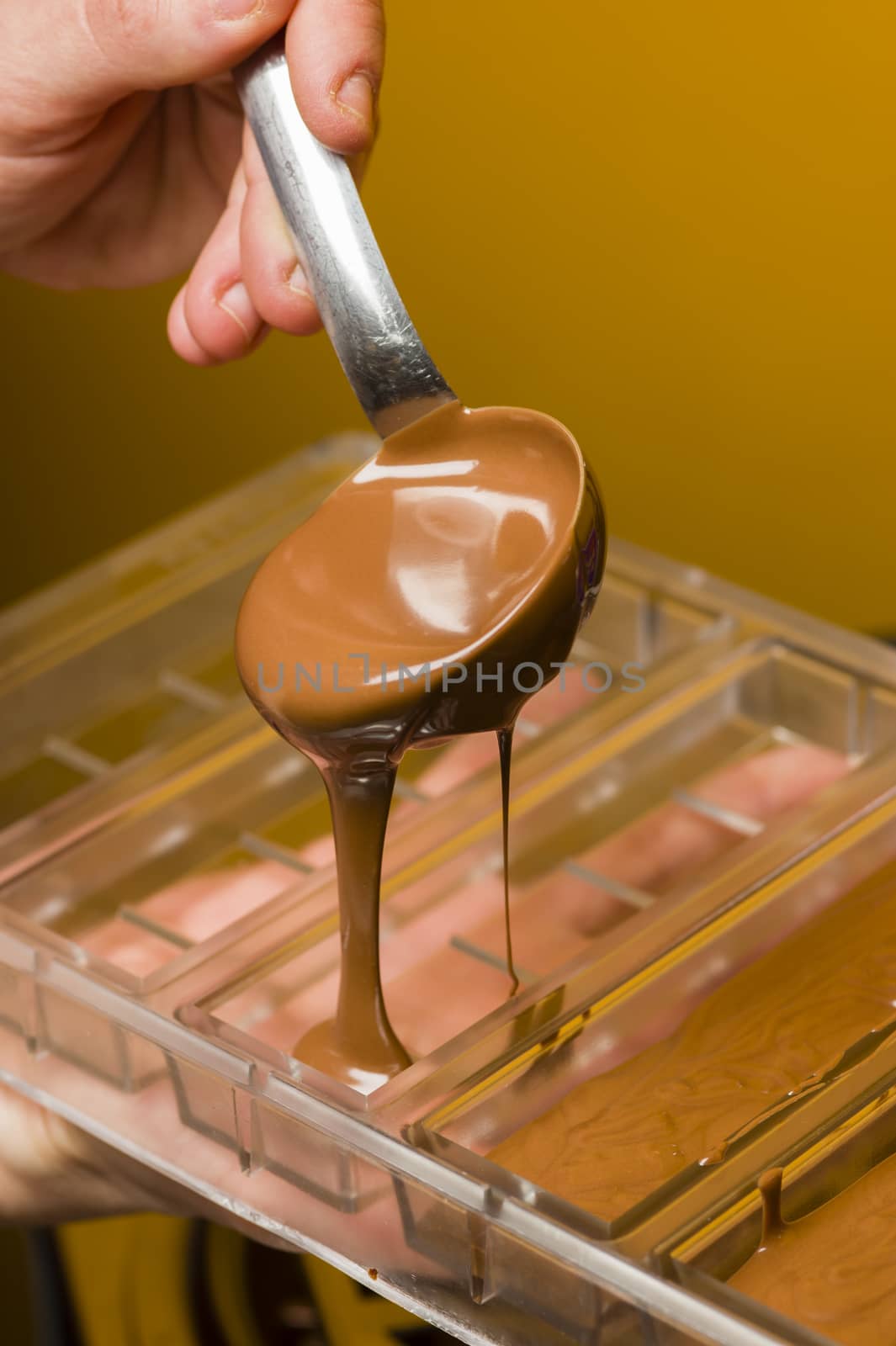 Ingredients for preparation of artisanal chocolate bar