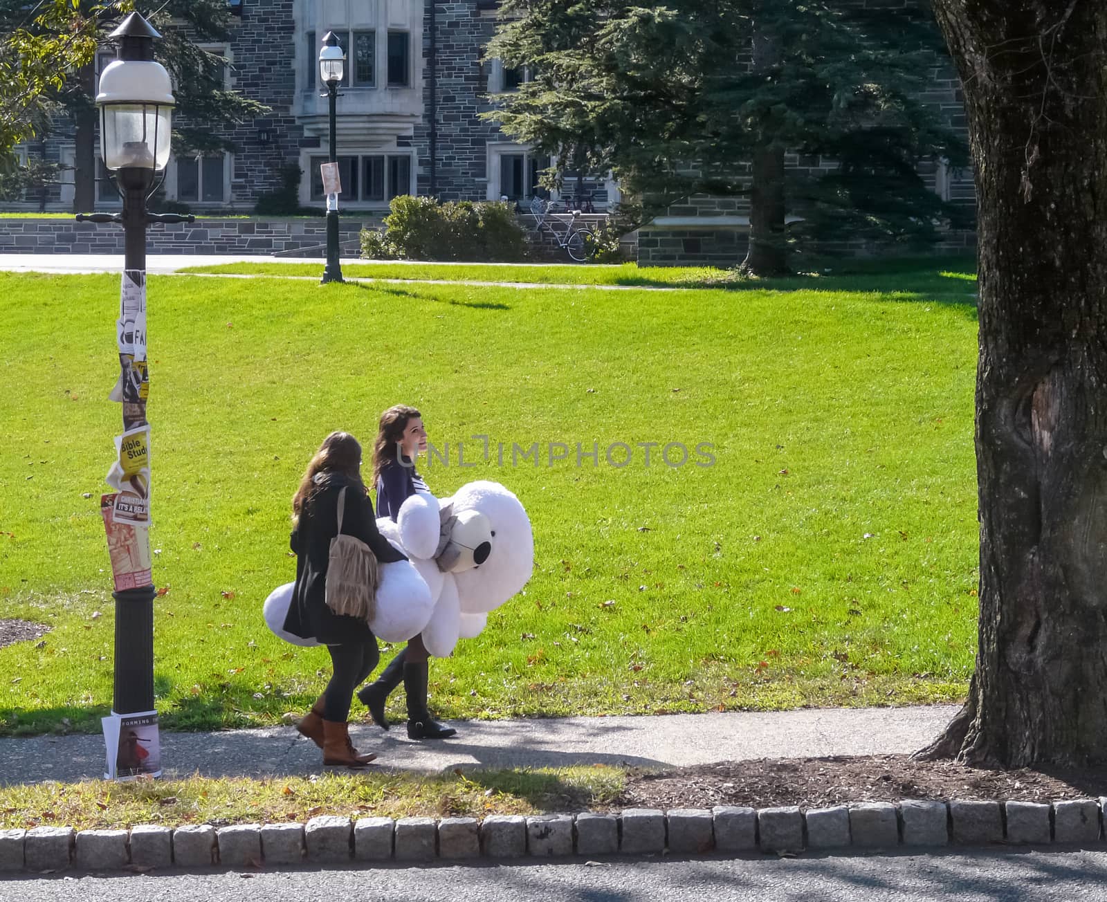 PRINCETON, NJ - OCTOBER 20: Colorful autumn in one of the best and oldest universities in USA, belonging to elite Ivy Leaque, classified at the 1-st place in ranking. Two students carrying big white toy, October 20, 2013 in Princeton, NJ