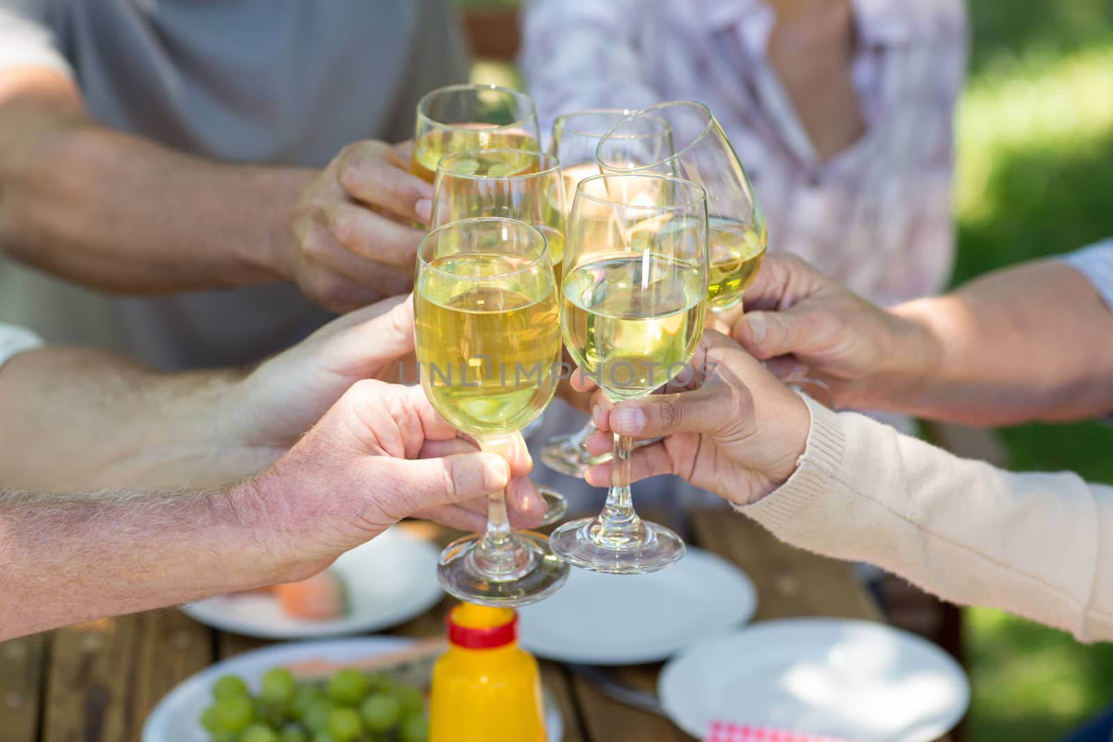 Happy family toasting in the park on a sunny day