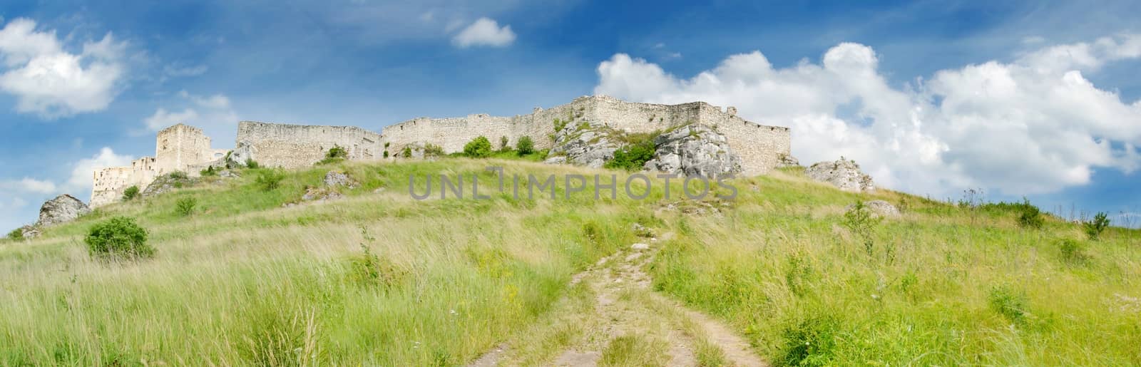 Slovakia spis castle on the hill in summer.