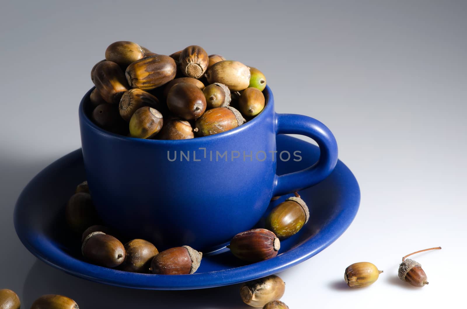 Lot of acorns around and in blue mug with small plate.