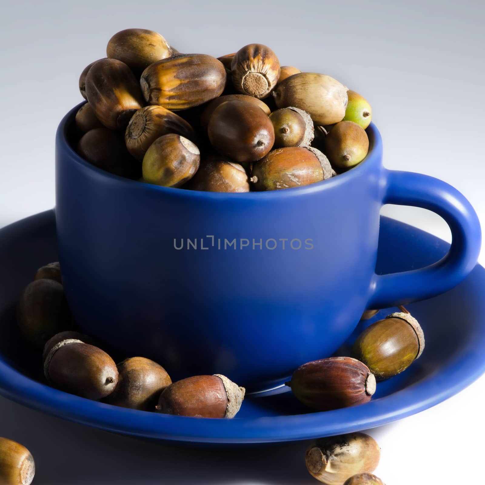 Lot of acorns around and in blue mug with small plate.