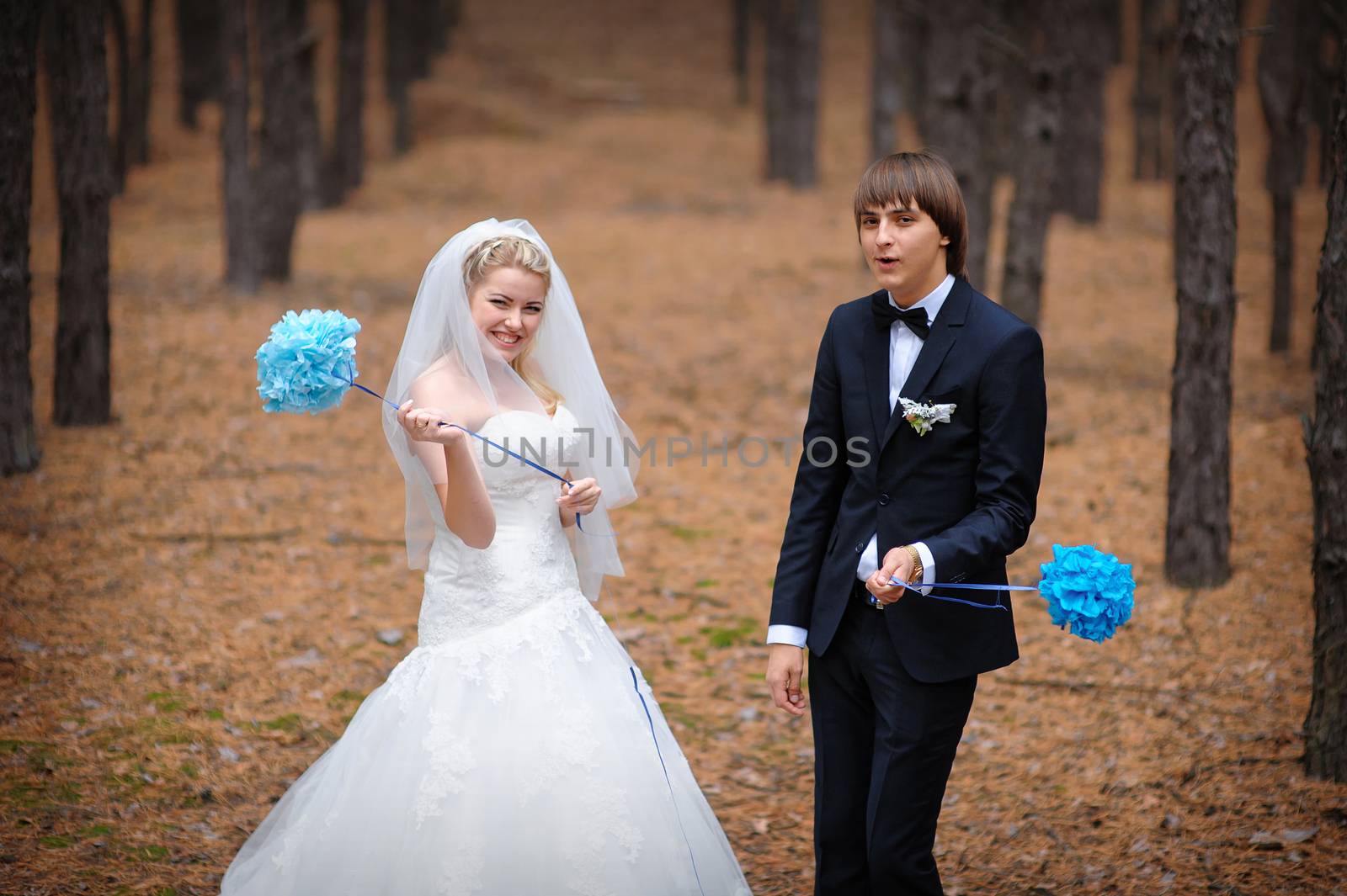 sunlight bride and groom standing in a pine forest in autumn.