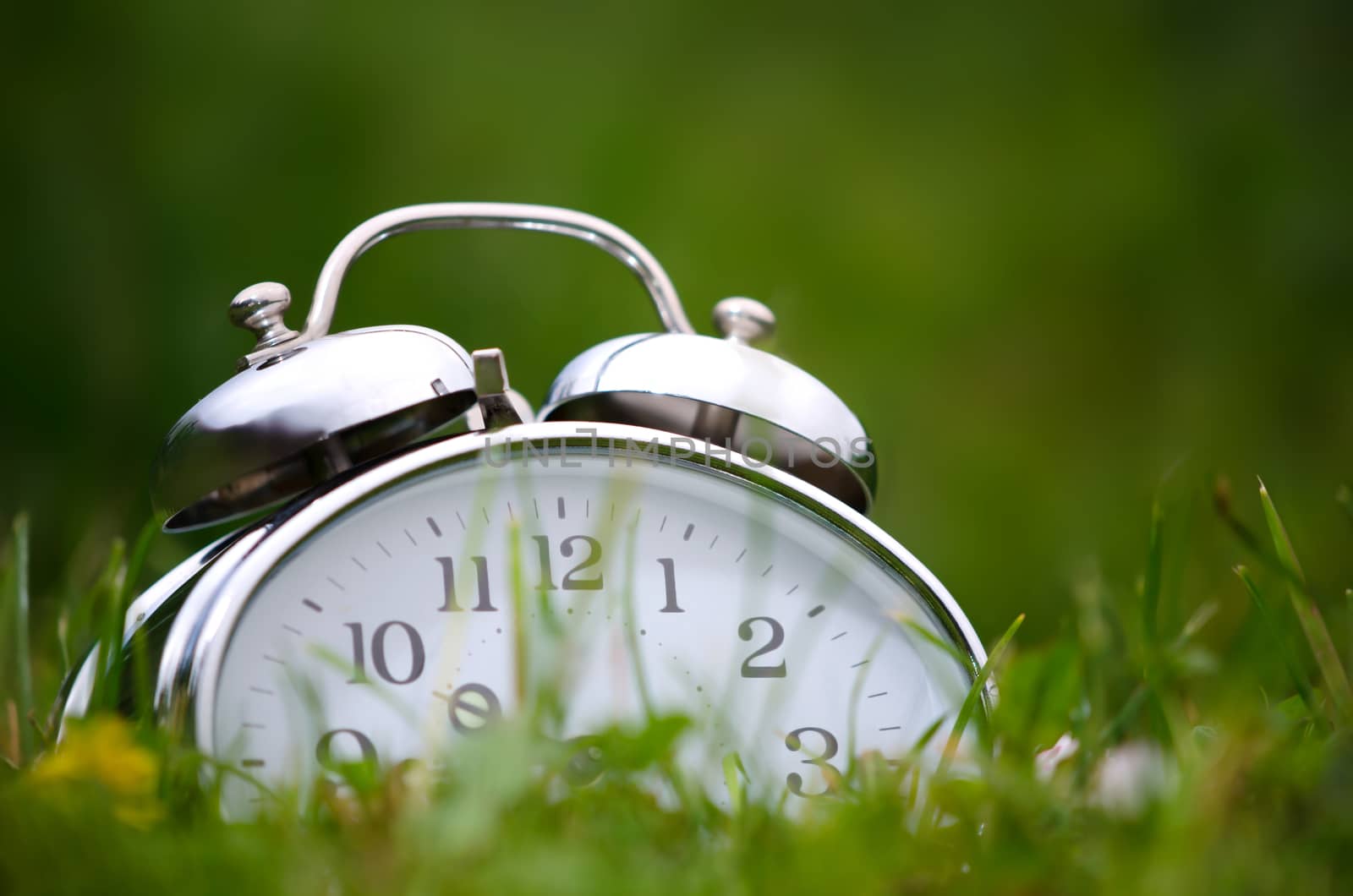 Old metal alarm clock among grass and flowers. 