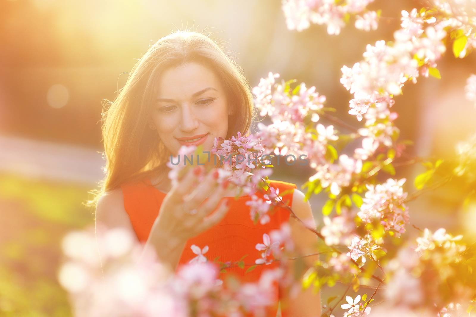 Beautiful pregnant woman in blooming garden.