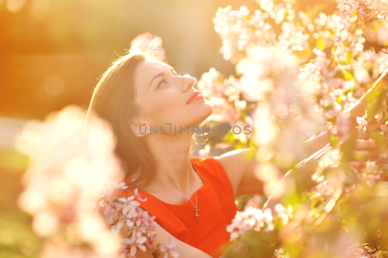 portrait of young lovely woman in spring flowers.