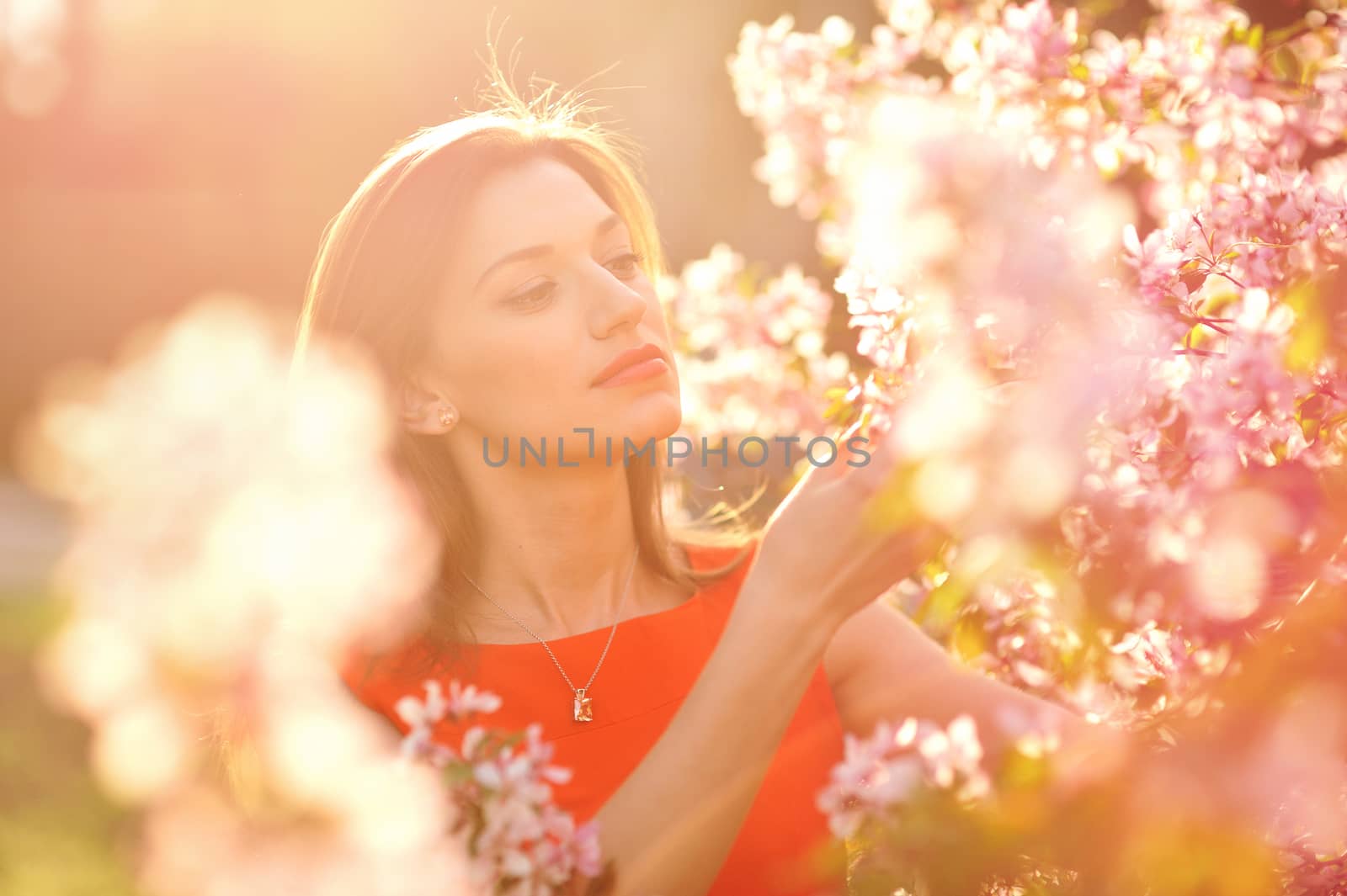Beautiful woman among blossoming trees.