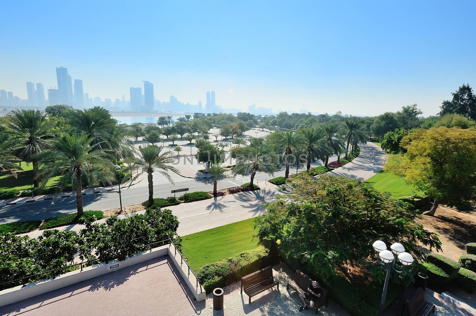 green park with palm trees in the background of skyscrapers.