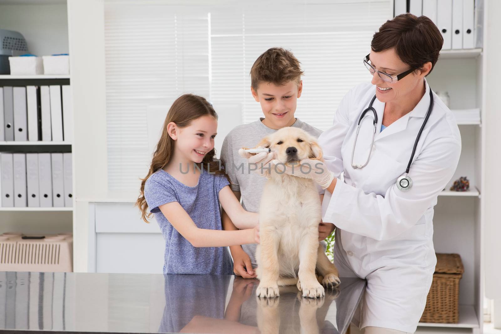 Smiling vet examining a dog with its owners in medical office
