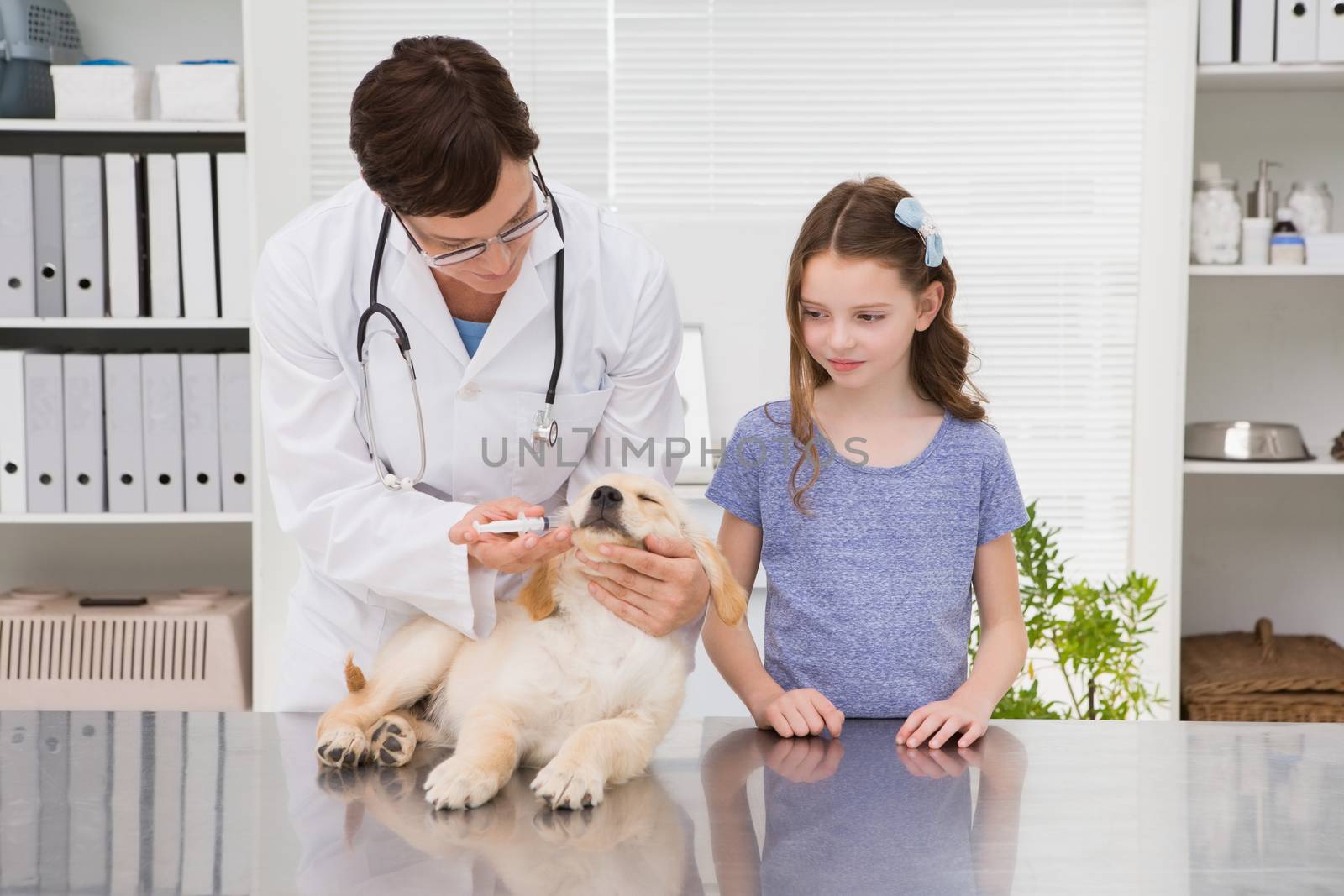 Smiling vet examining a dog with its owner by Wavebreakmedia