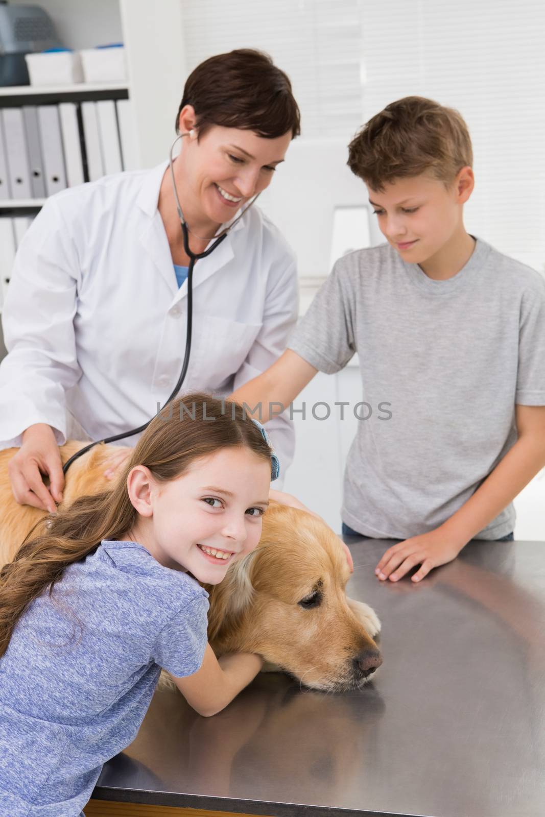 Smiling vet examining a dog with its owners in medical office