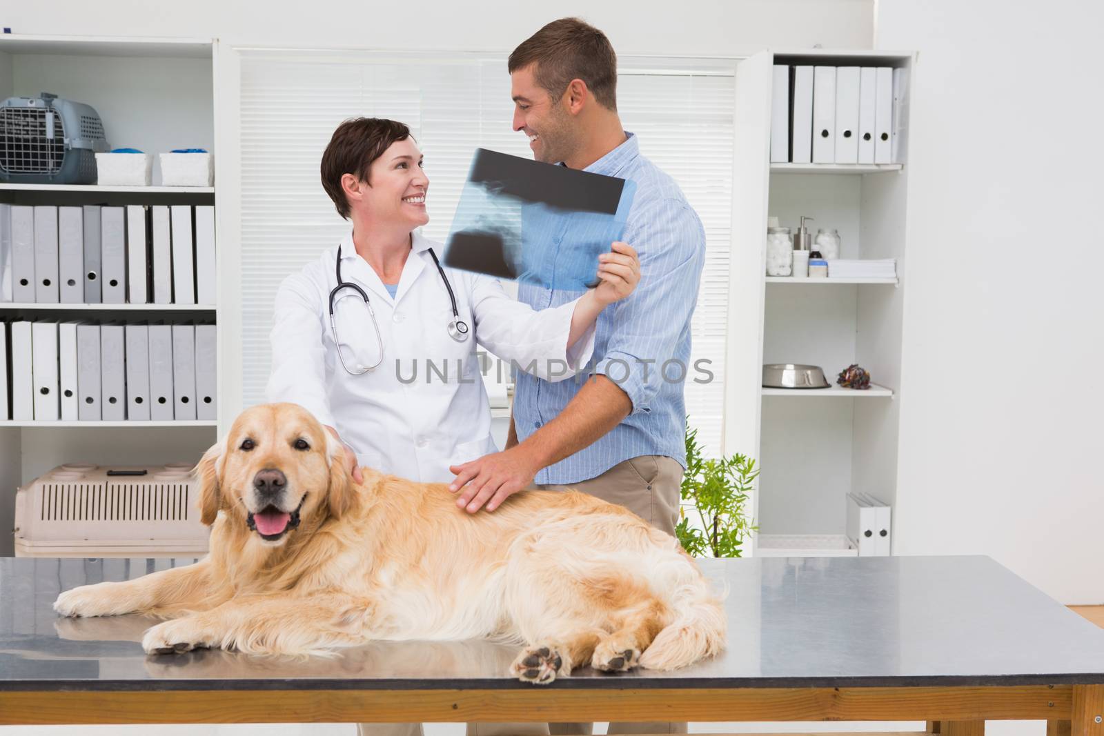 Veterinarian showing x-ray to dog owner in medical office 