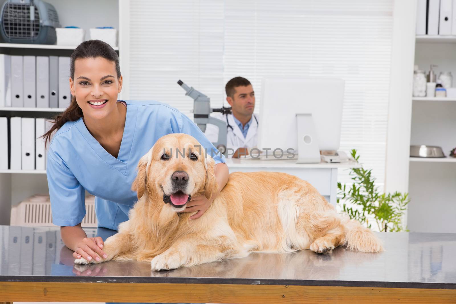 Smiling vet examining a dog in medical office