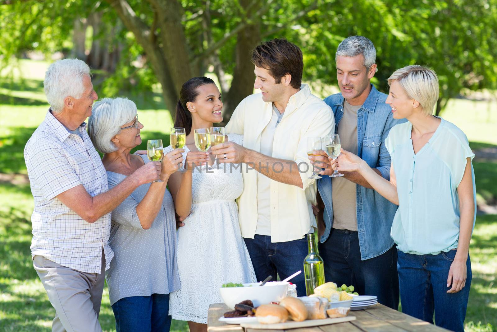 Happy family toasting in the park  by Wavebreakmedia