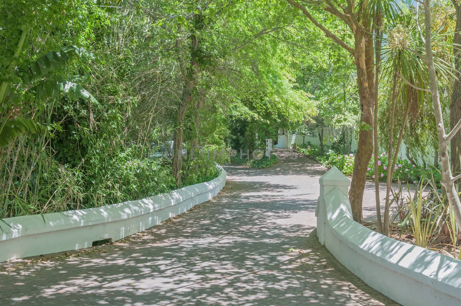 CAPE TOWN, SOUTH AFRICA - DECEMBER 15, 2014:  Shady walkway on the Zevenwacht Wine Estate near Bellville. The farm offers wine tasting and a restaurant