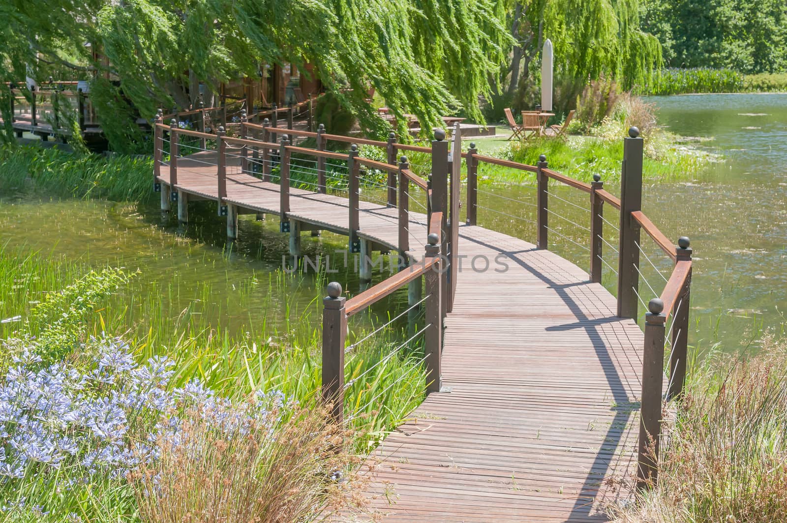 STELLENBOSCH, SOUTH AFRICA - DECEMBER 15, 2014:  Bridge to wine tasting on an island at the Oude Nectar farm near the Jonkershoek Nature Reserve