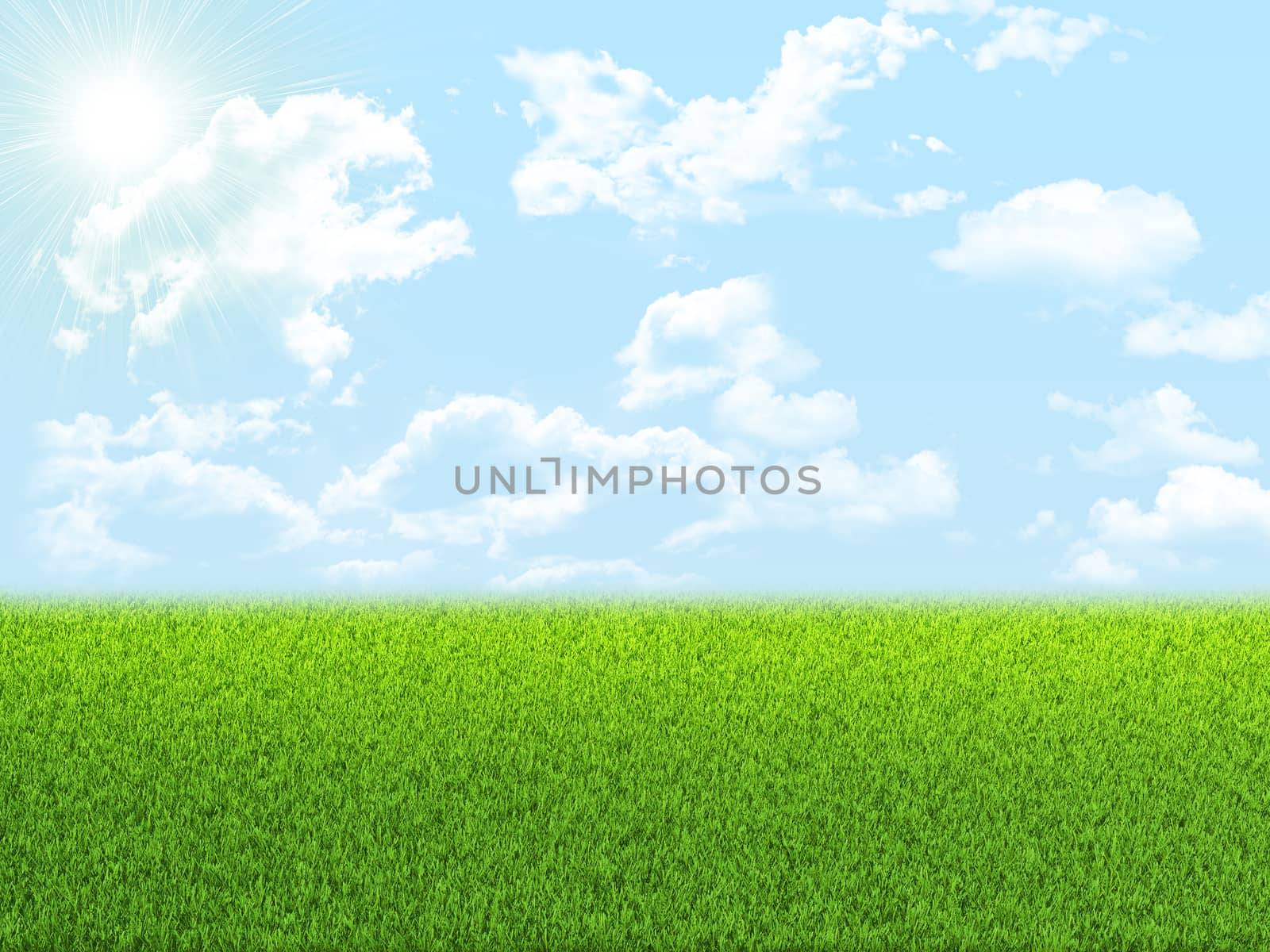 Green nature field with blue sky. Nature background