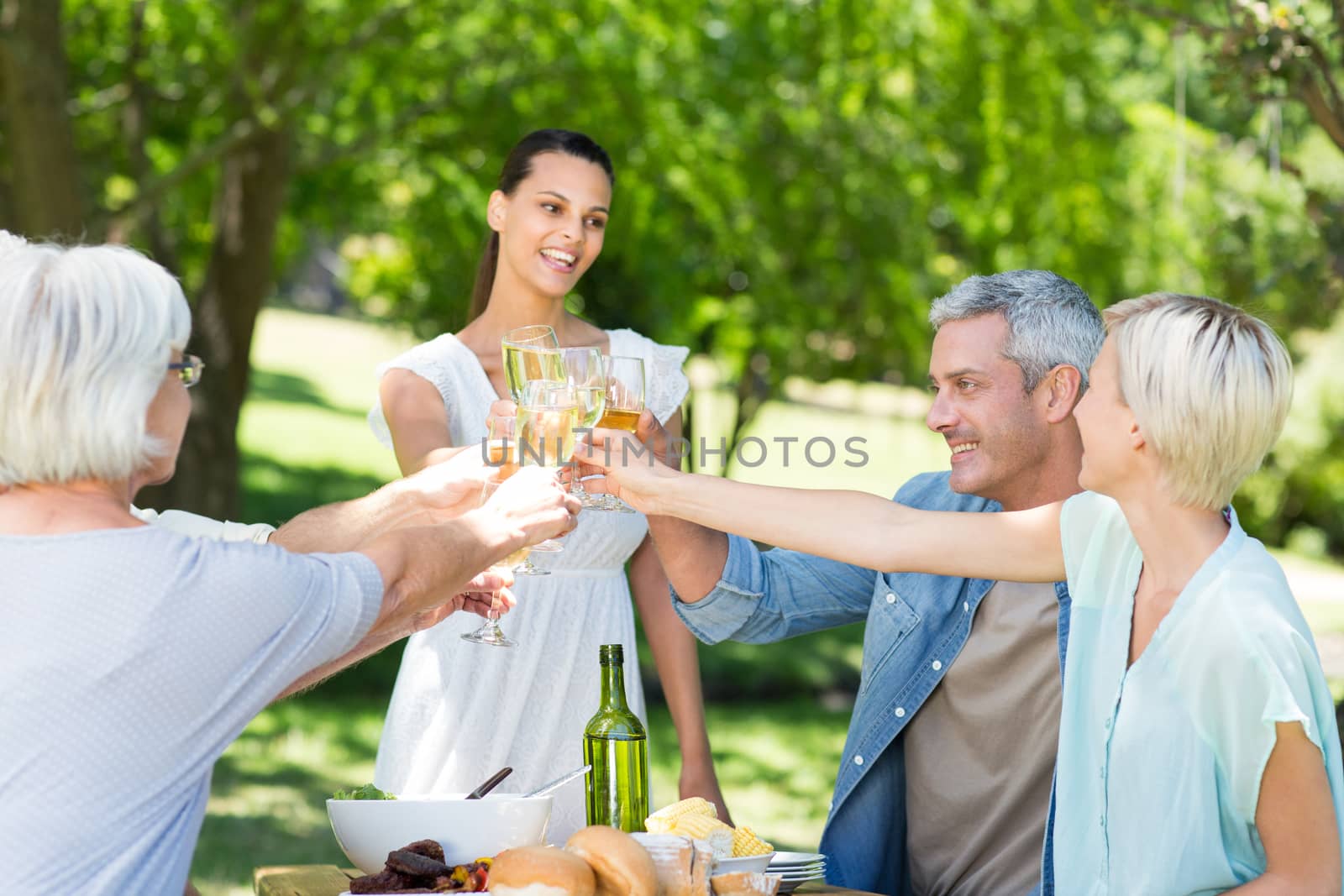 Pretty brunette toasting with her family  by Wavebreakmedia