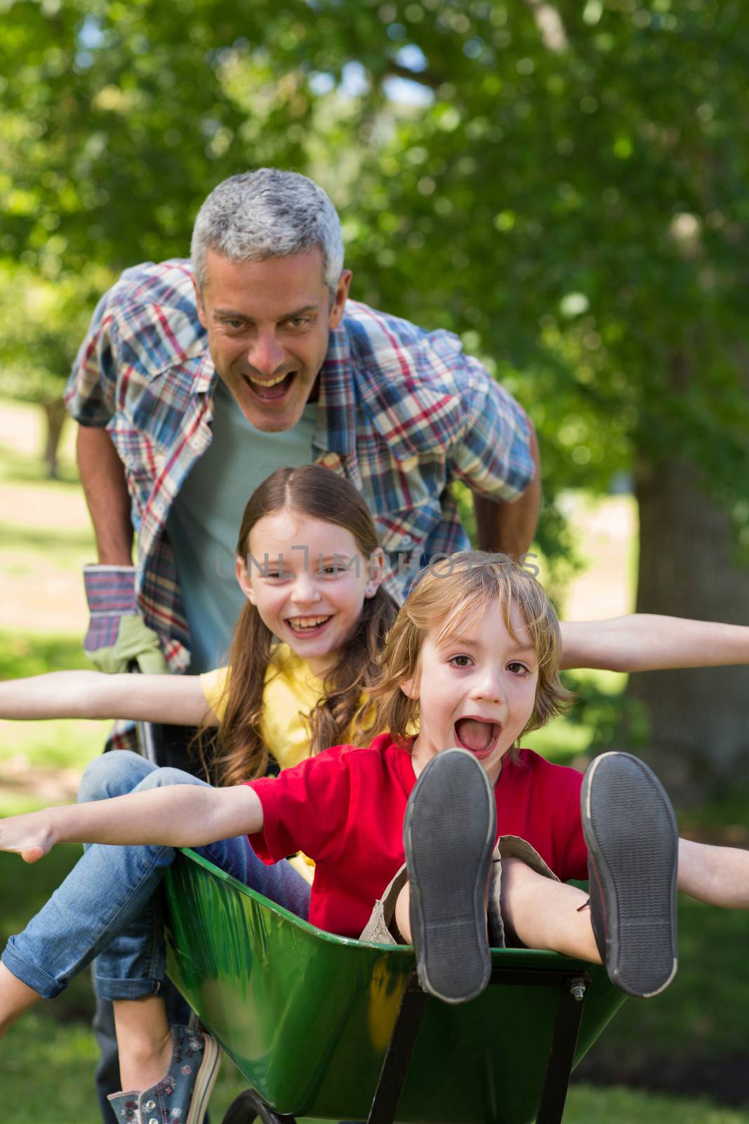 Happy father and his children playing with a wheelbarrow by Wavebreakmedia