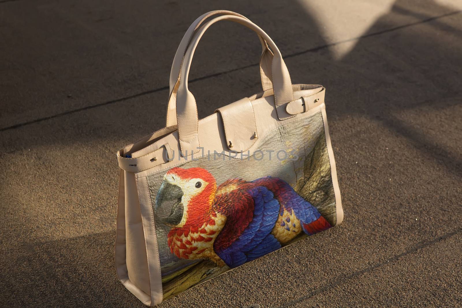 women bag with color print on street