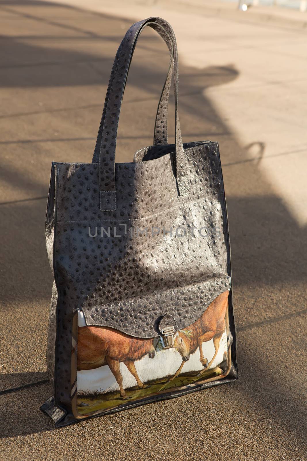 women bag with color print  by sarymsakov