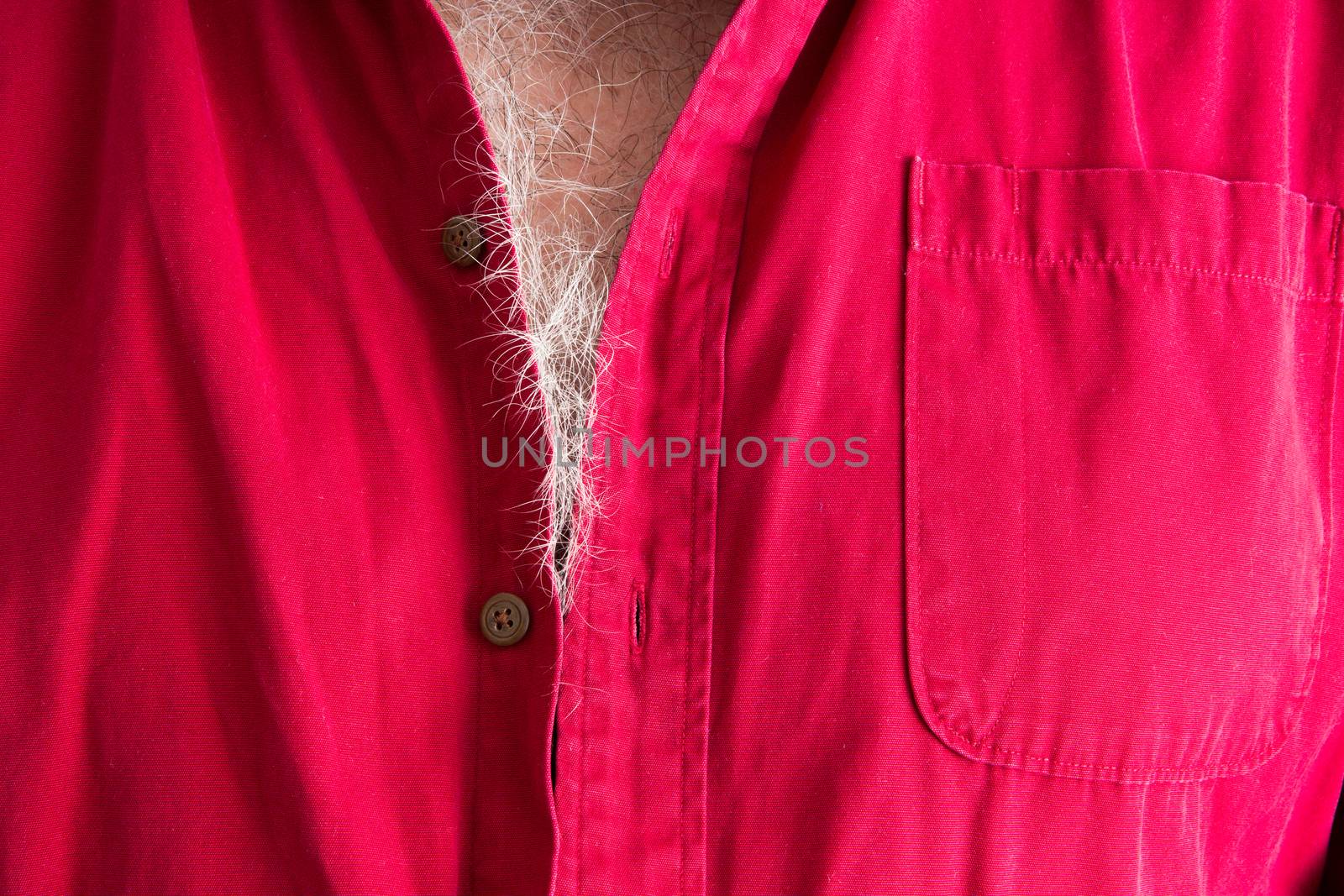 Signs of aging - grey hairs on a male chest in a close up view peeking out of the collar of his red shirt, unrecognizable