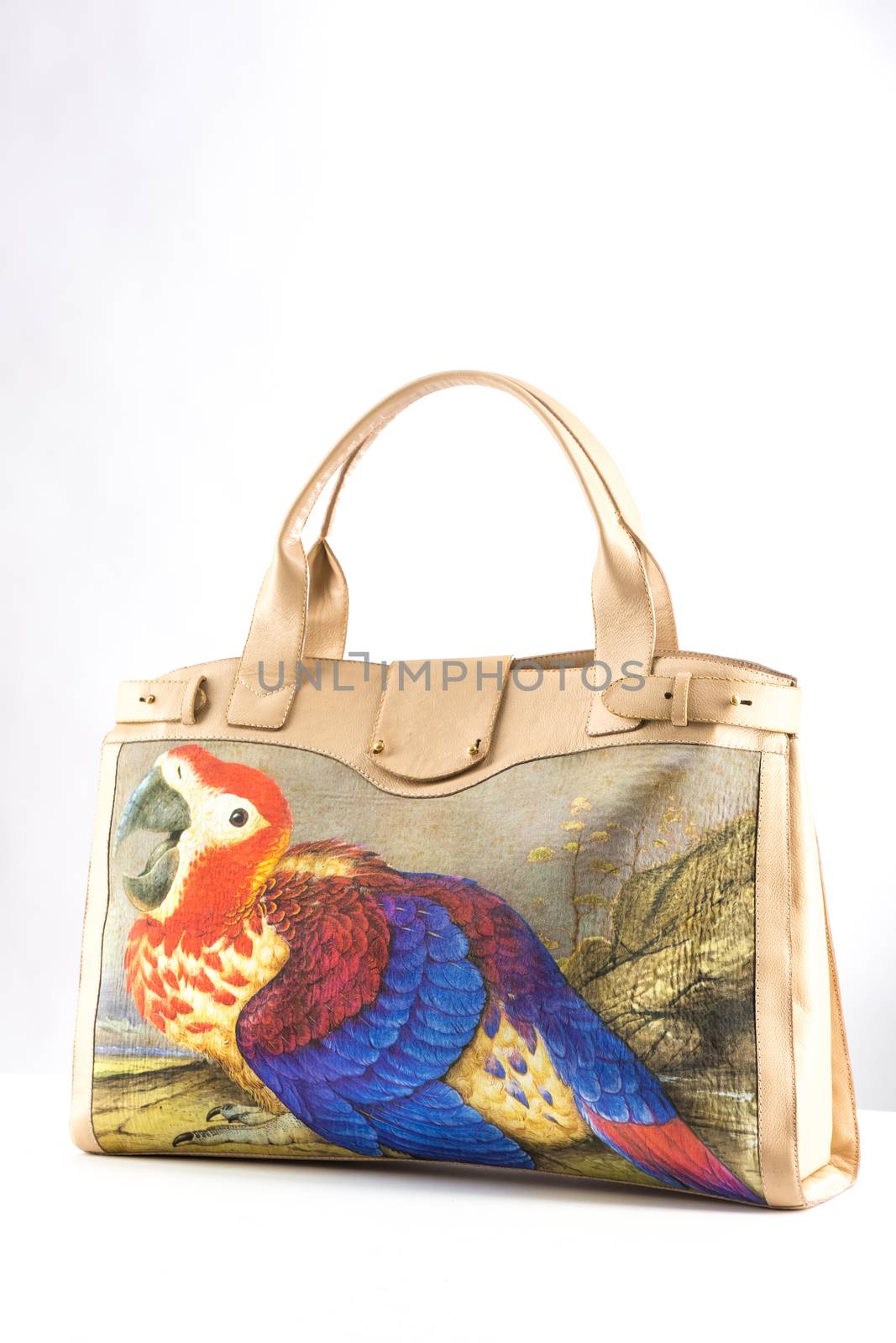 women bag with color print on white background
