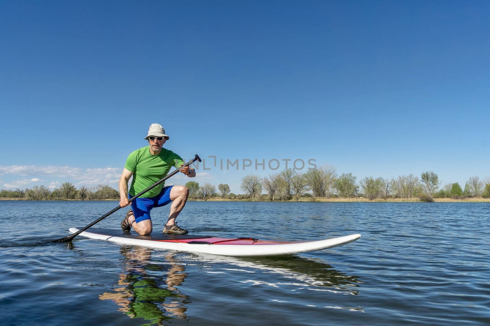 Senior male exercising on stand up paddling (SUP) board. Early spring on a calm lake in Fort Collins, Colorado..