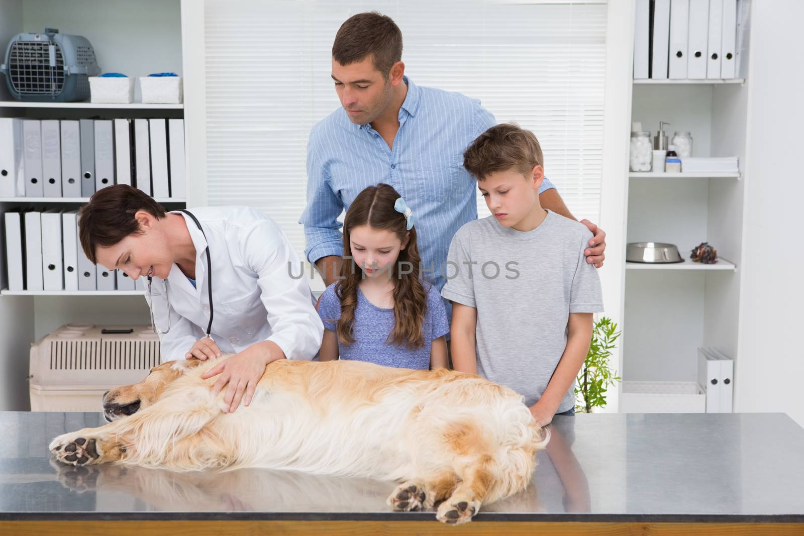 Smiling vet examining a dog with its scared owners in medical office