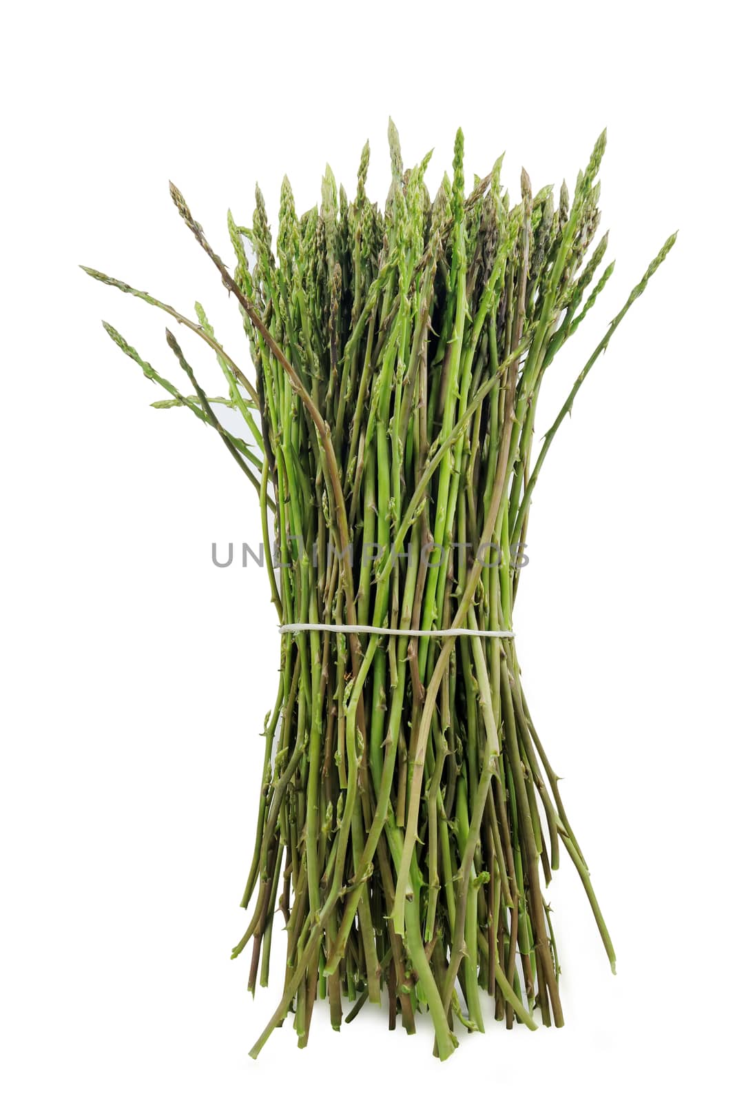 Wild asparagus by sewer12