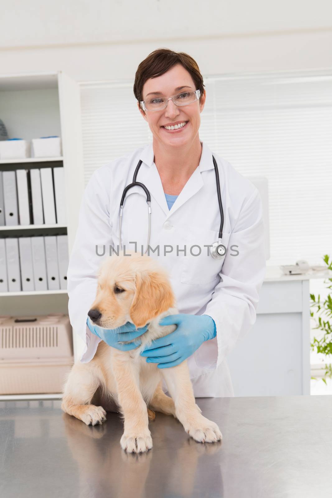 Smiling veterinarian examining a cute dog by Wavebreakmedia