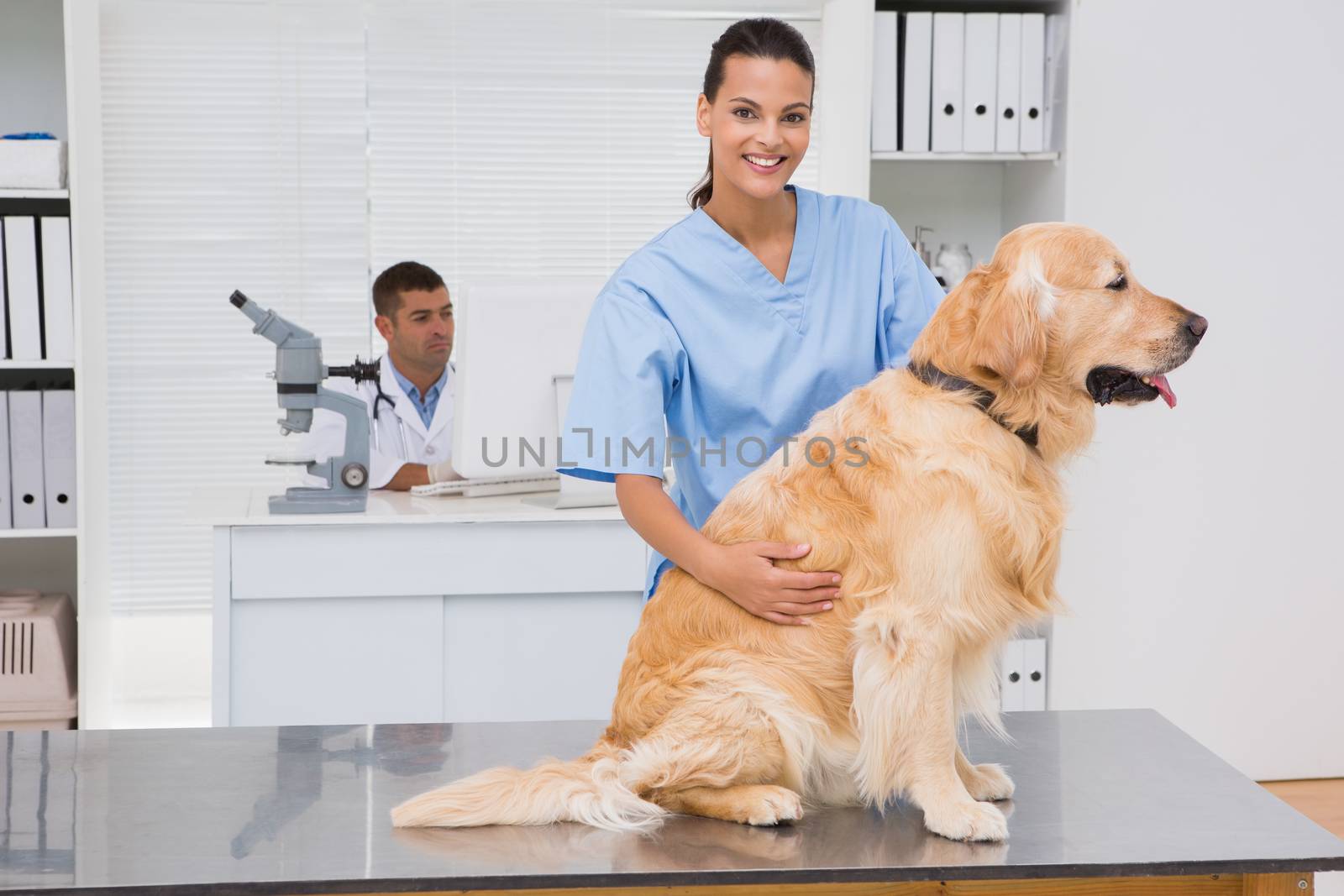 Veterinarian examining teeth of a cute dog by Wavebreakmedia