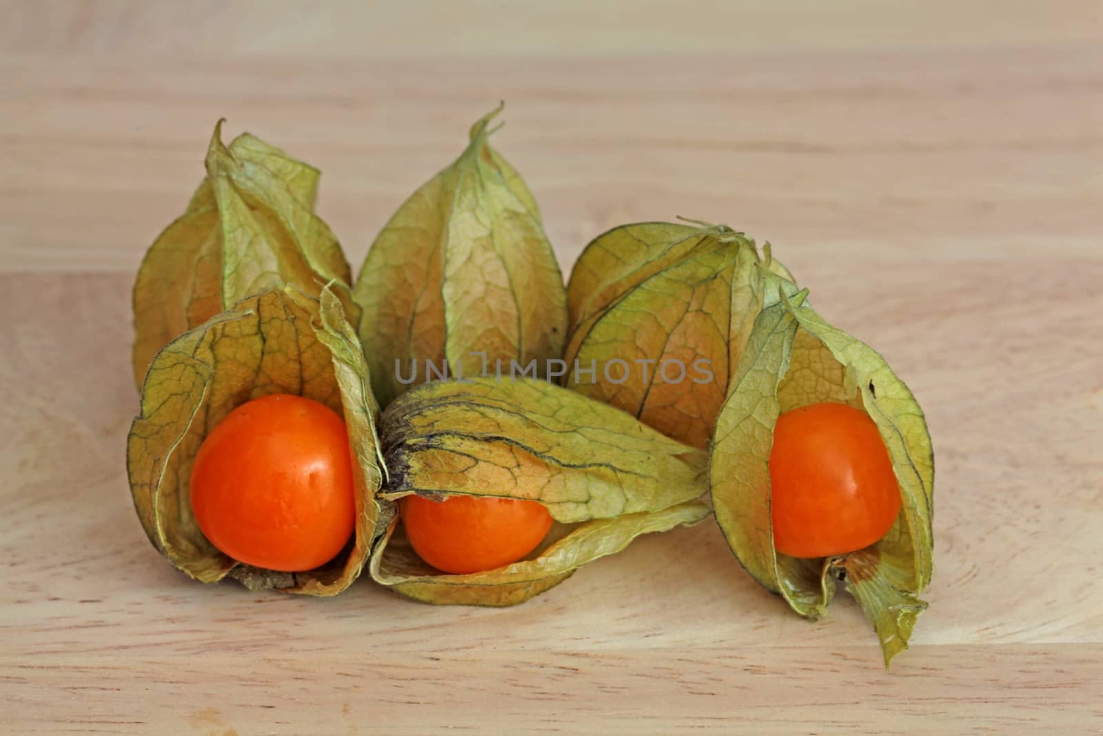 Macro photograph of Physalis peruviana.