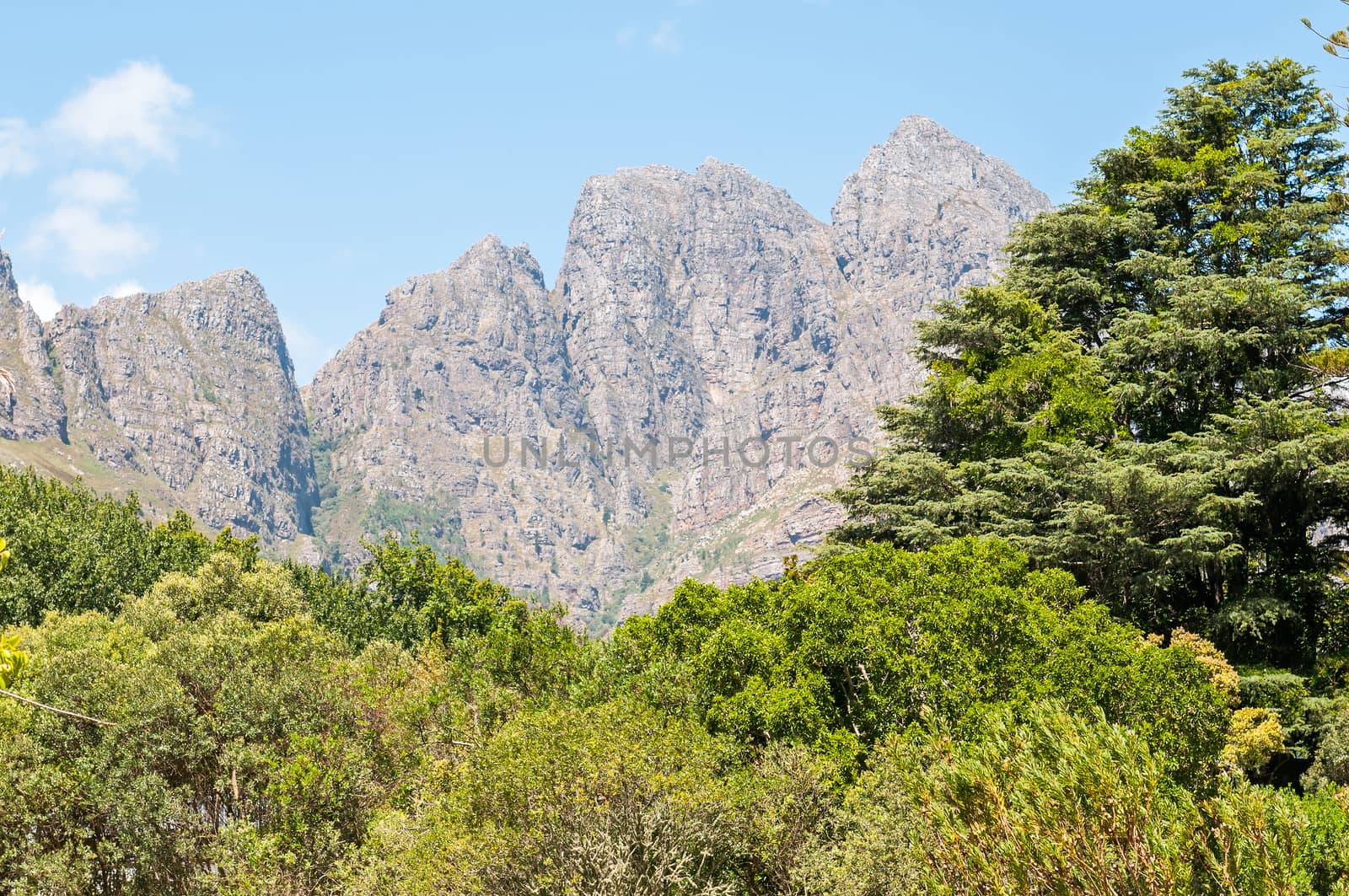 The Hottentots-Holland Mountains towering above the surroundings near the Jonkershoek Nature Reserve