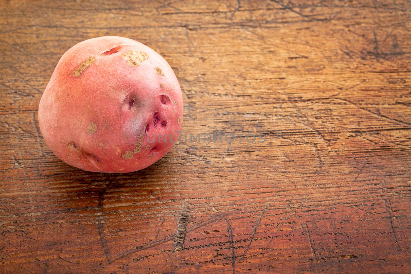 red potato on rustic grunge wood with a copy space