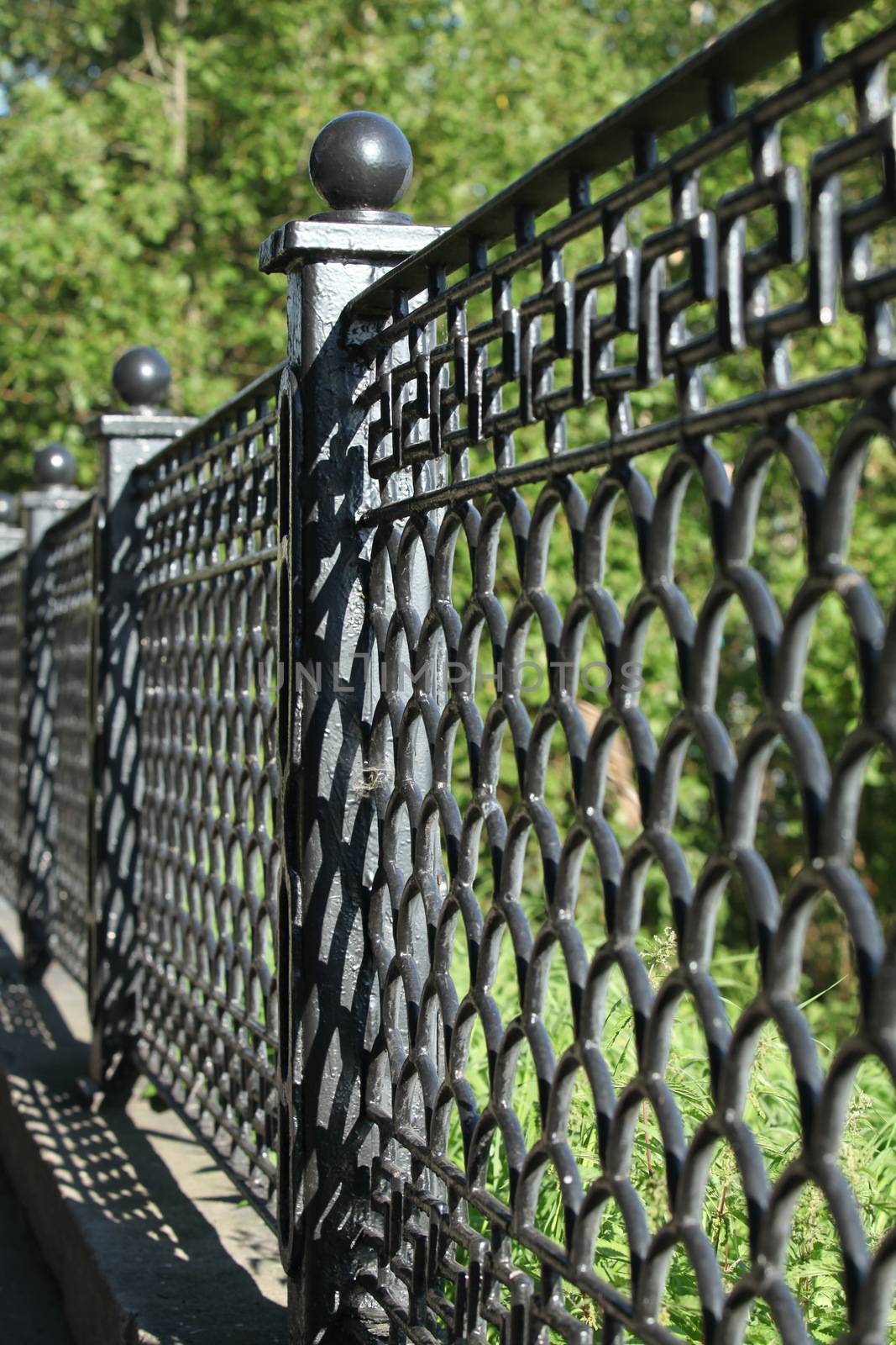 patterned cast iron fence