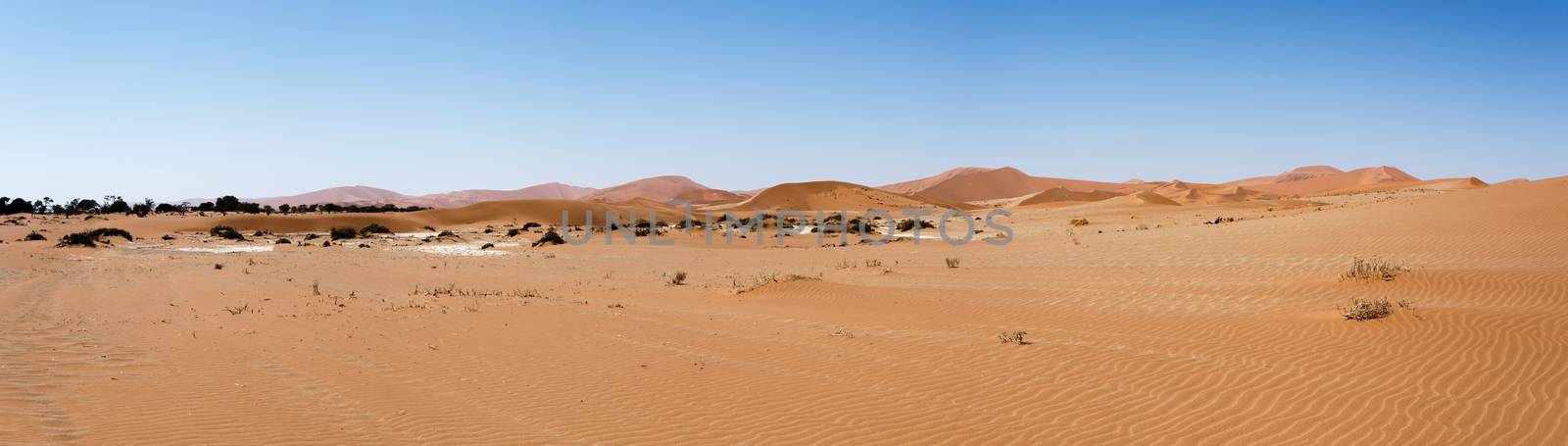 beautiful landscape of Hidden Vlei in Namib desert panorama by artush