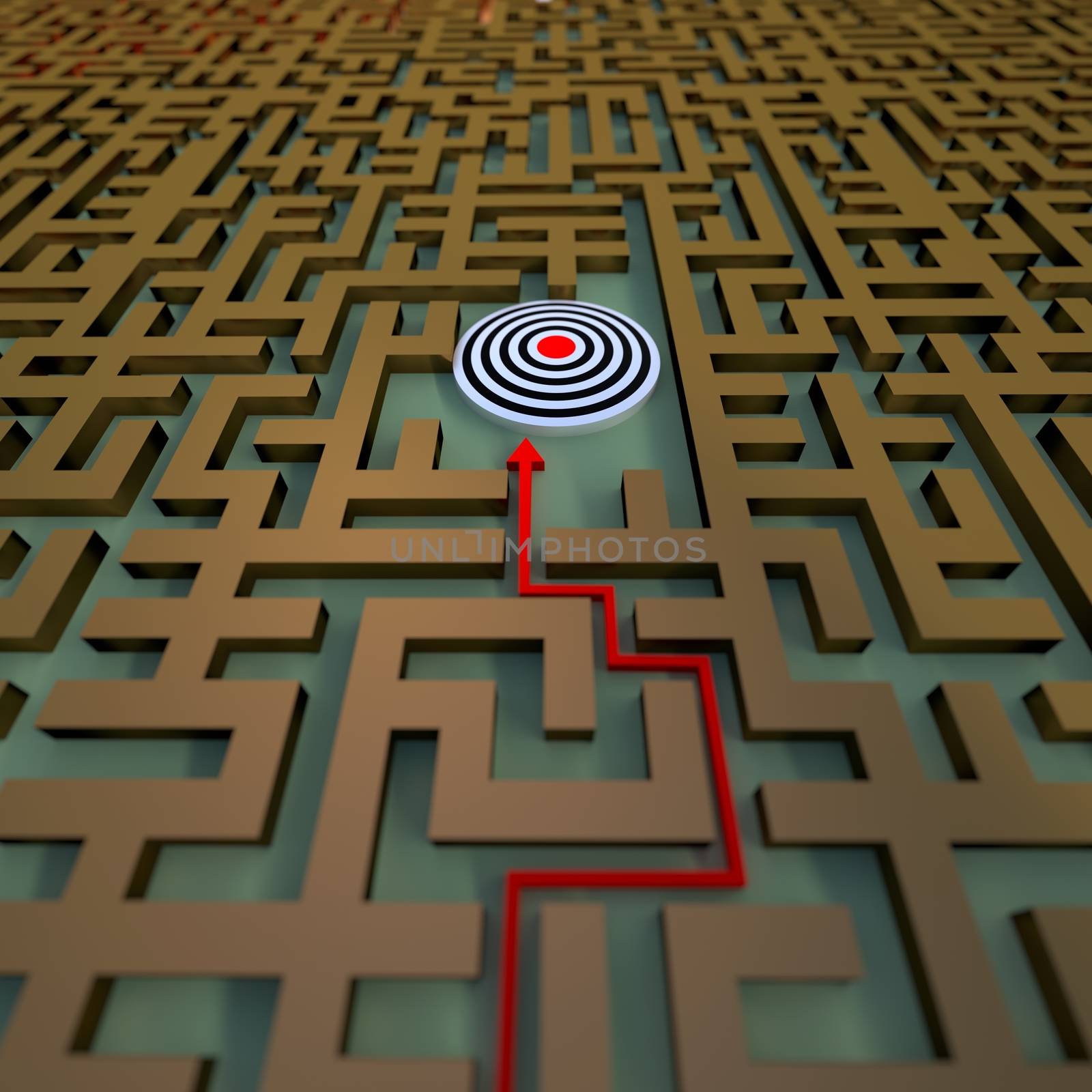 path to the target in the labyrinth