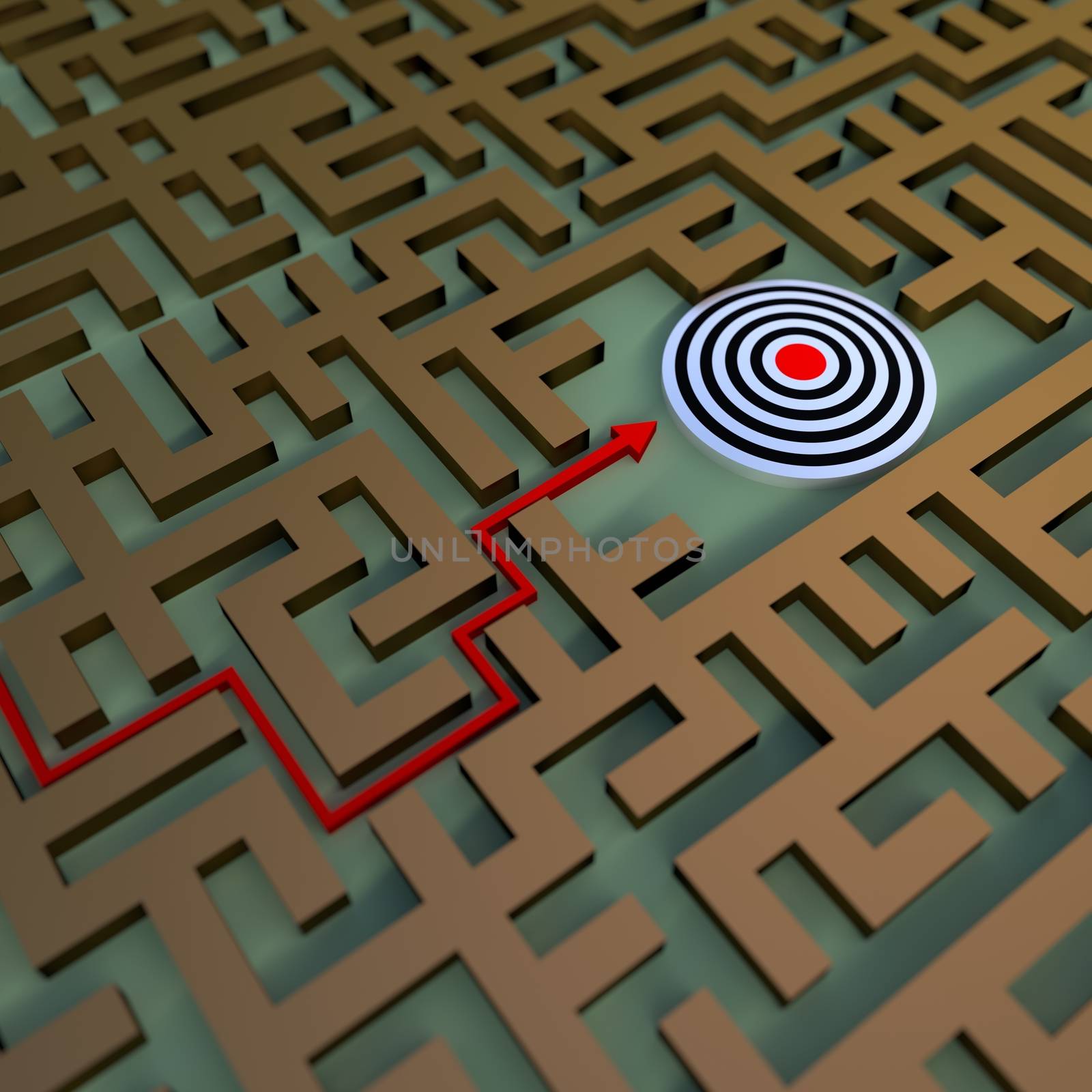 path to the target in the labyrinth