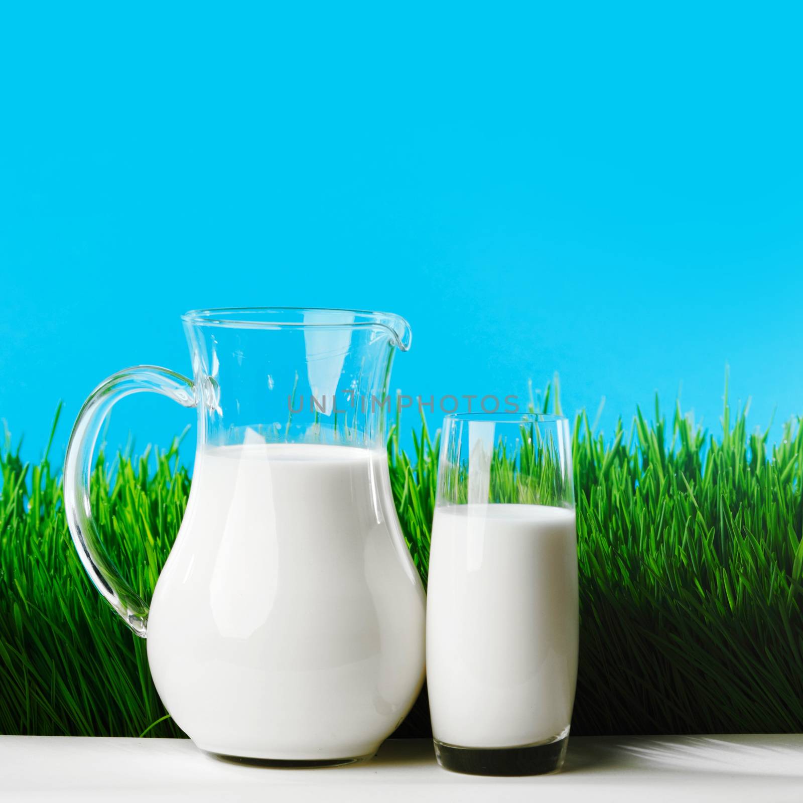 Milk jug and glass on fresh green grass field background