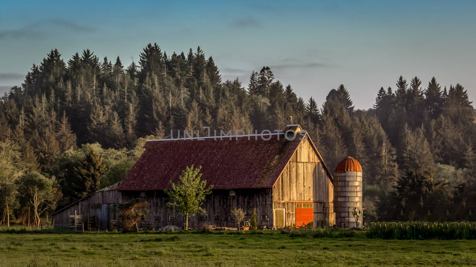 A quiet farm in N. California, USA.