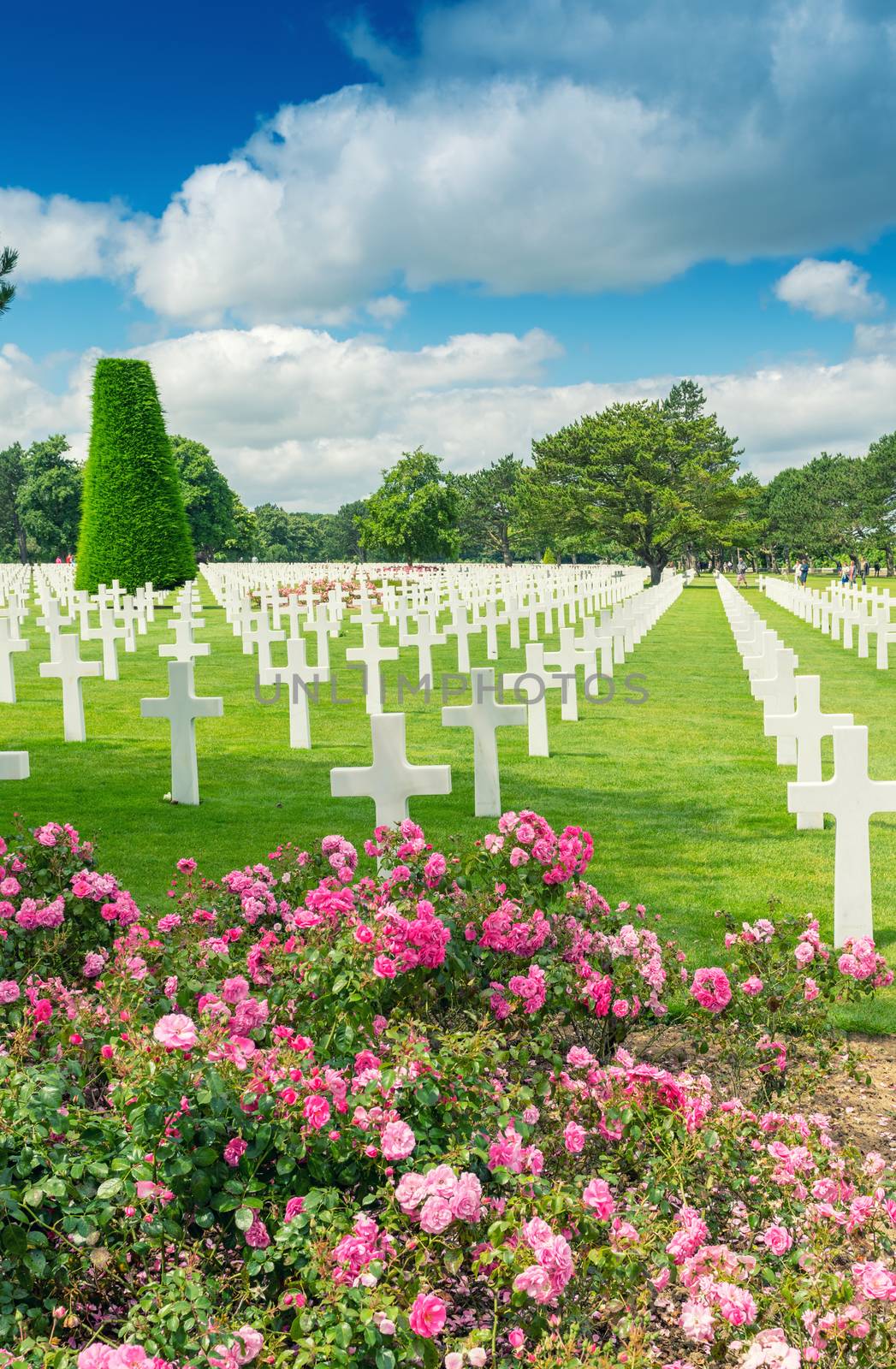 American cemetery in Normandy.