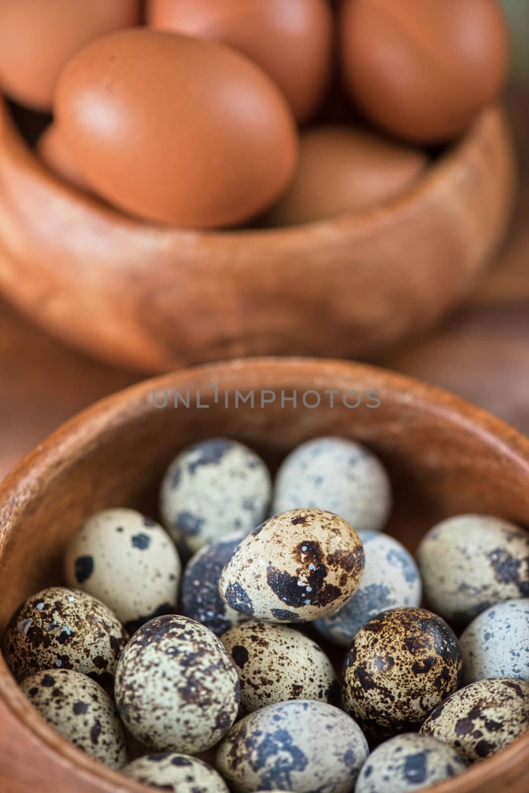 Fresh chicken eggs and quail eggs at wooden plate closeup
