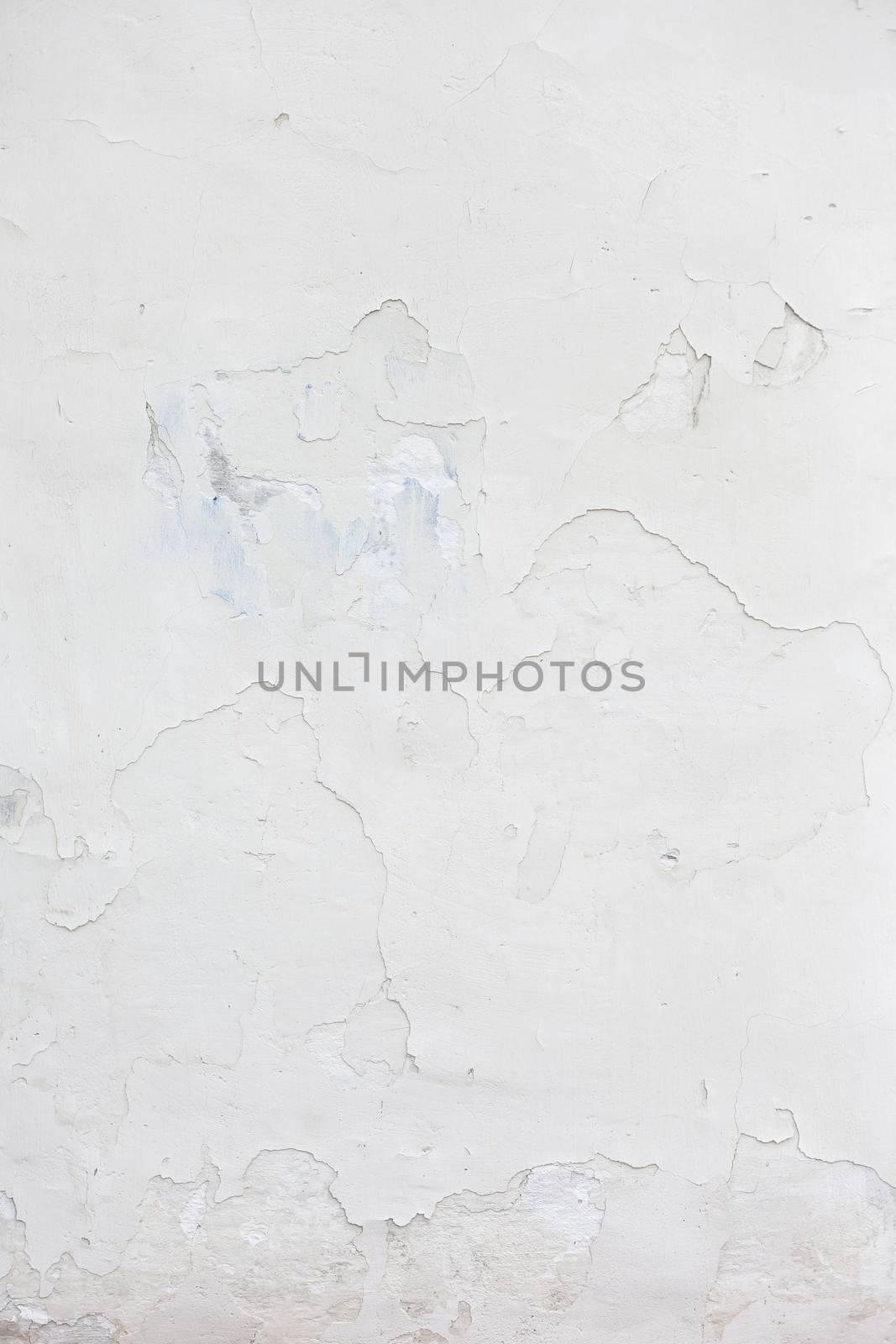 Grunge white background Cement old texture wall