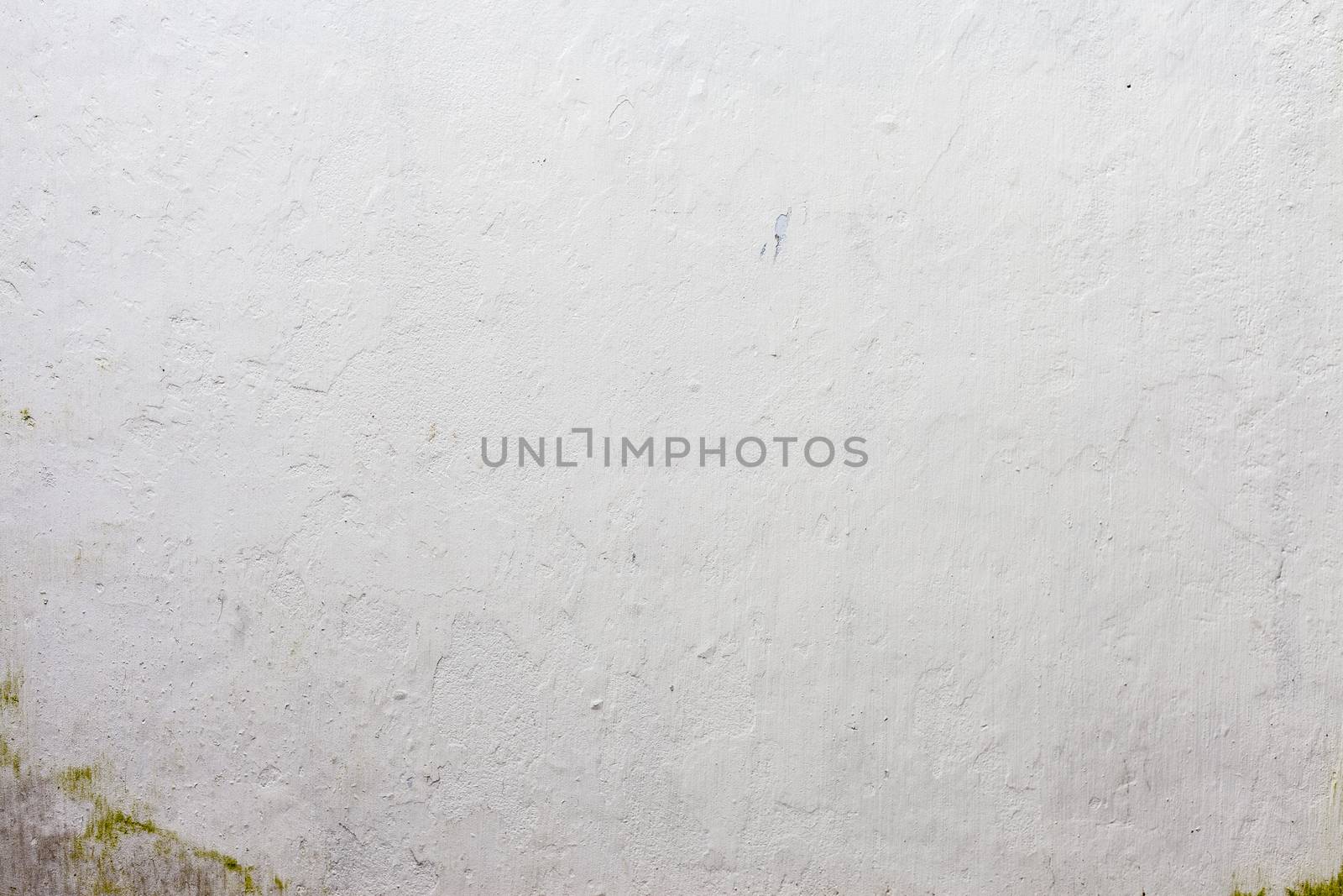 Grungy white concrete wall background by H2Oshka