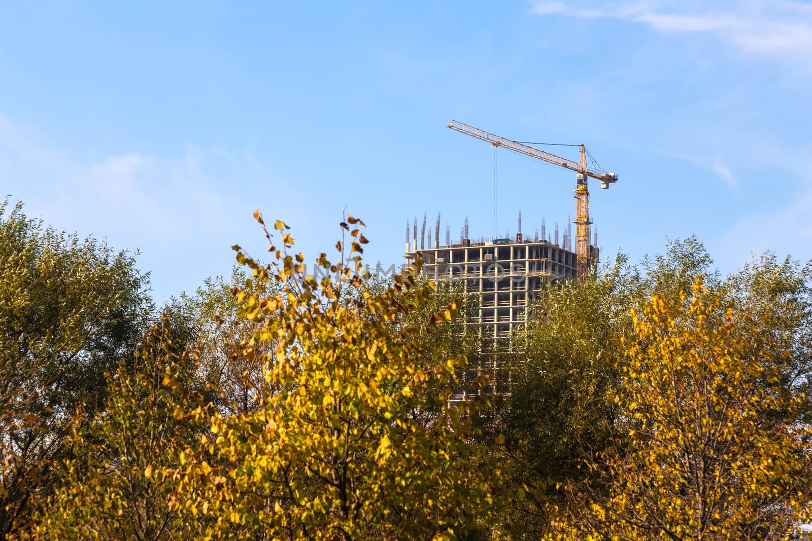 Building crane on construction of city