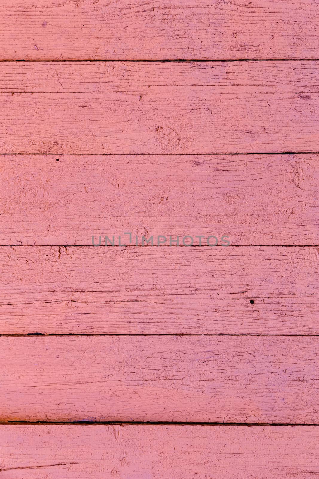 Pink or coral wood planks vintage or grunge background texture